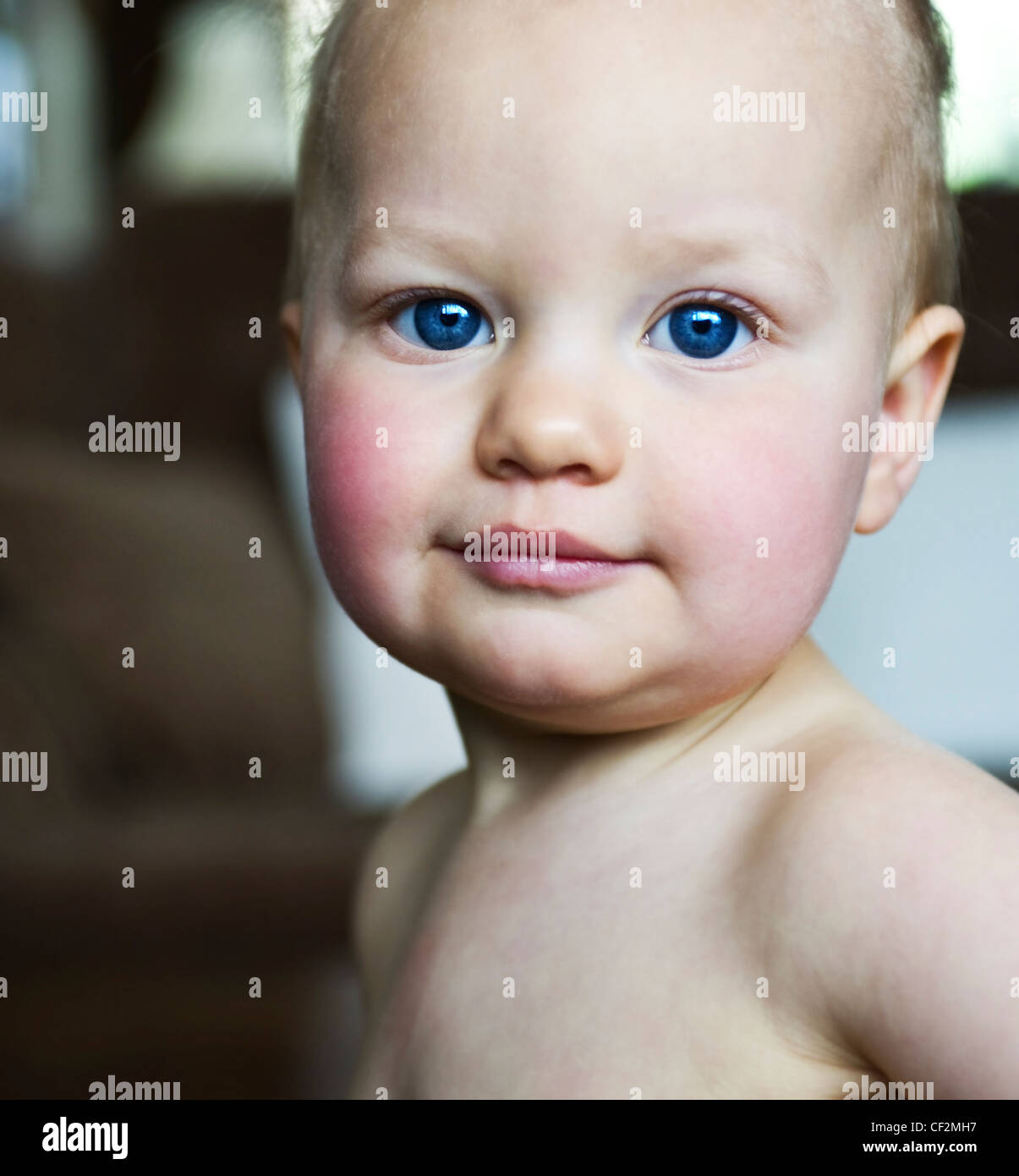 A one year old baby boy. Stock Photo