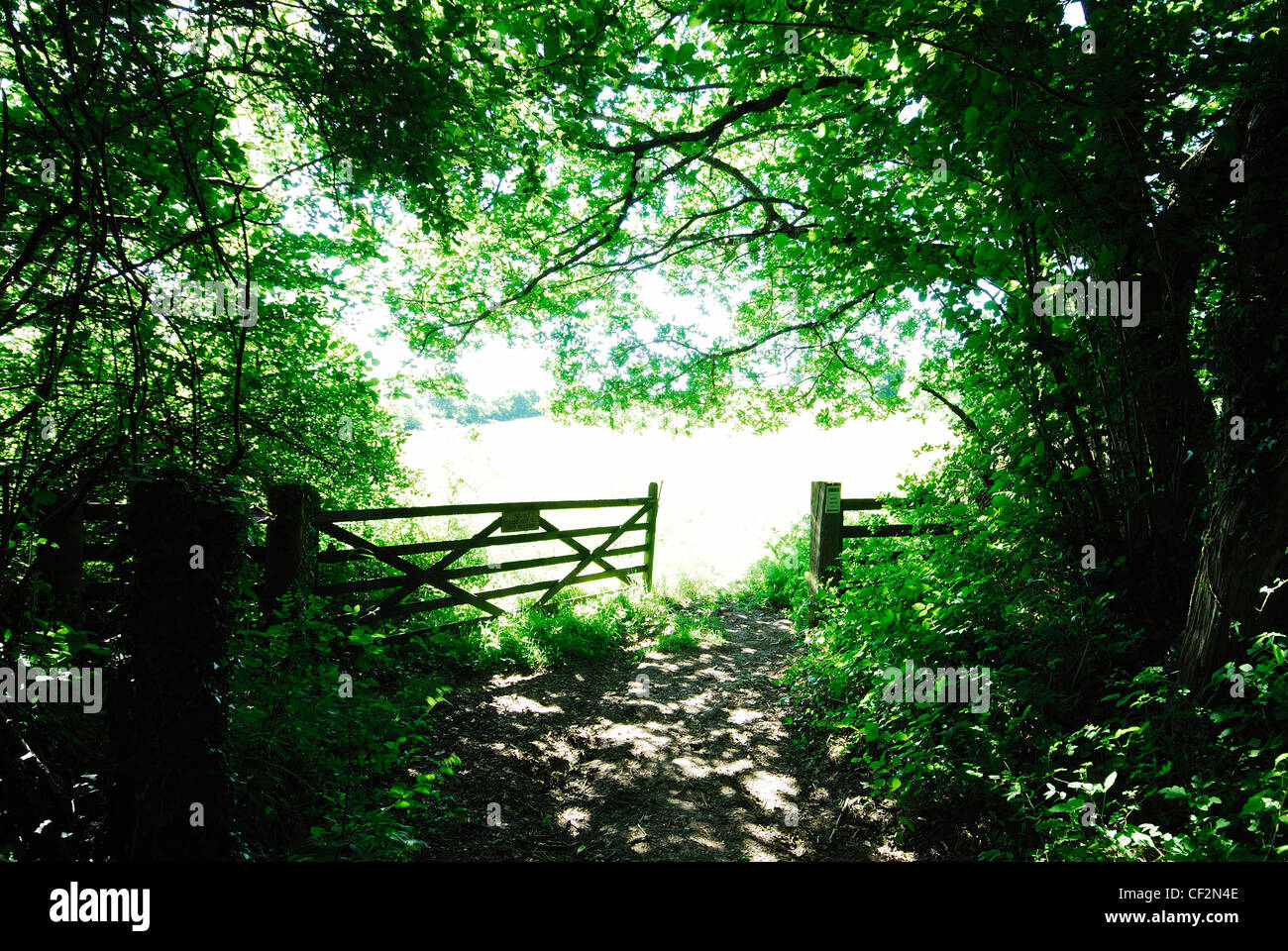 An open gateway at Kingcombe Meadows Dorset Wildlife trust nature reserve. Dorset, UK June 2010 Stock Photo