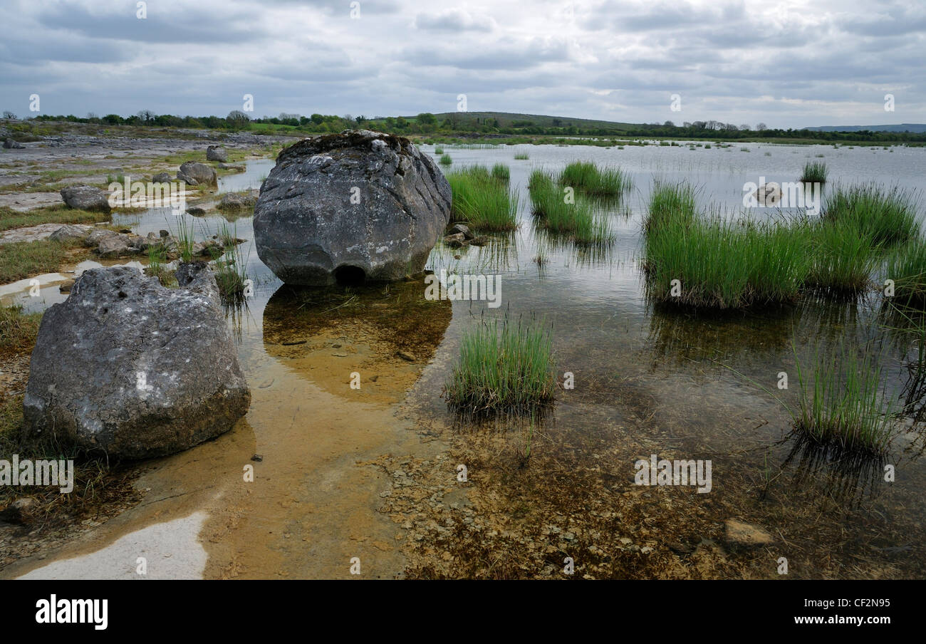 Seasonal lake or Turlough dries out in the spring, Mullaghmore, The