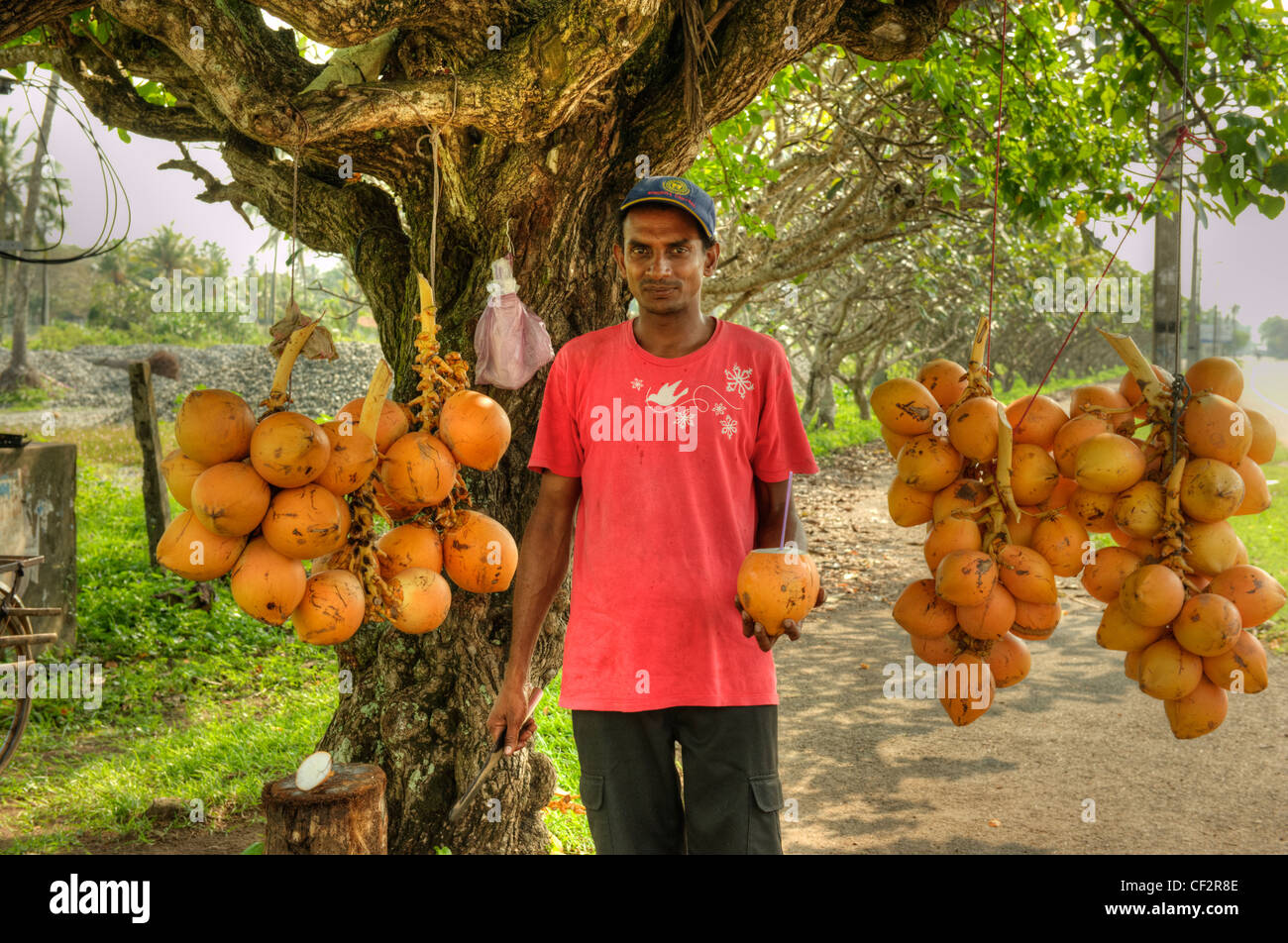 King coconut seller hires stock photography and images Alamy
