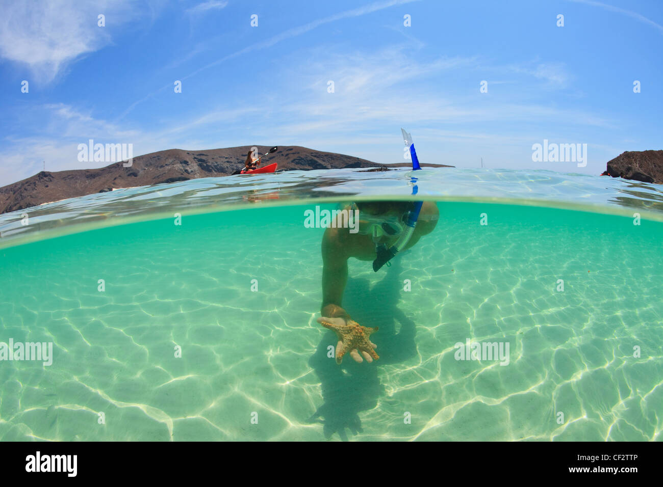 A Young Man Snorkeling Underwater Holding A Starfish In His Hand; La Paz Baja California Sur