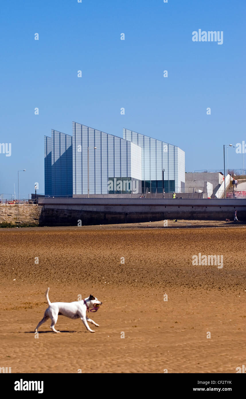 A dog running on Margate beach with the Turner Contemporary arts gallery in the background. Stock Photo