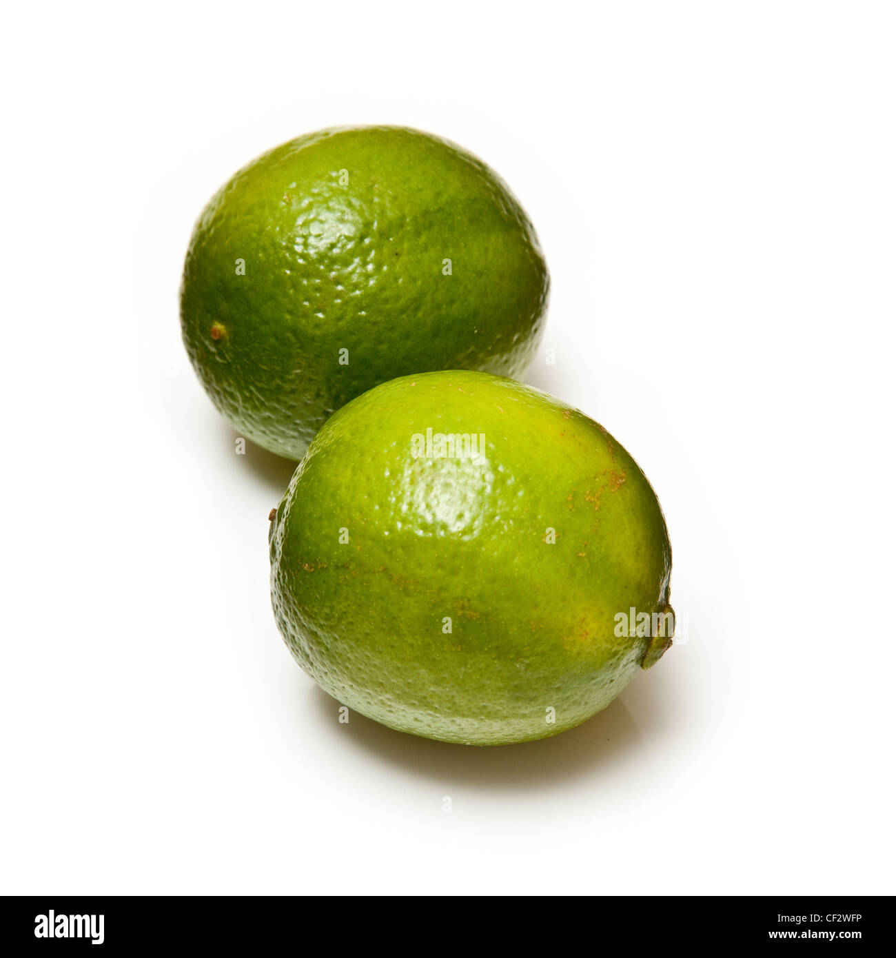 Limes isolated on a white studio background. Stock Photo