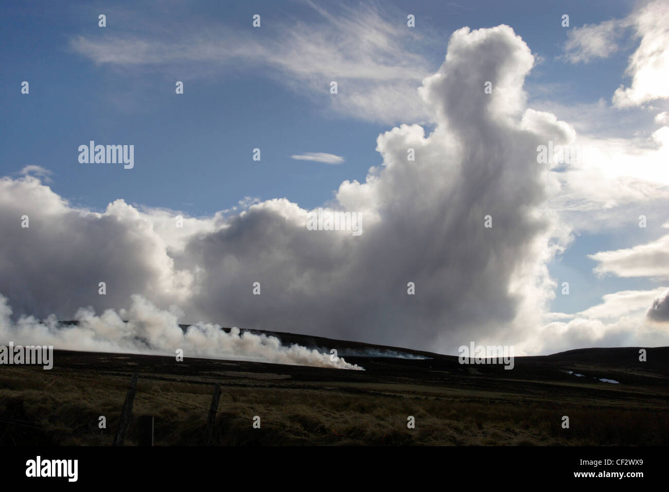 Cumulonimbus clouds rising over burning heather in Cabrach. Stock Photo