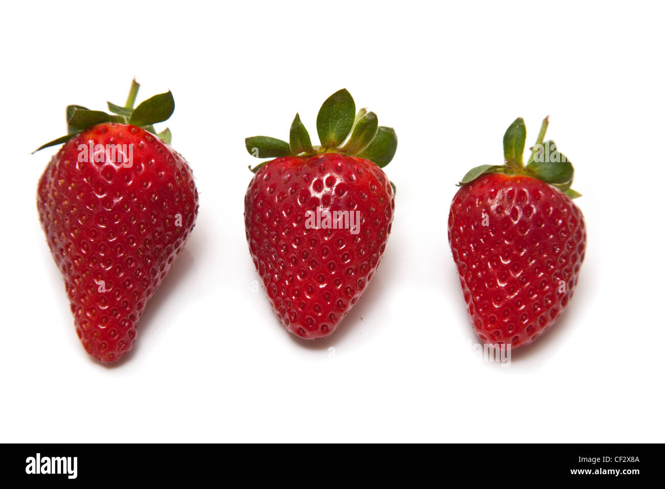 Strawberries isolated on a white studio background Stock Photo - Alamy