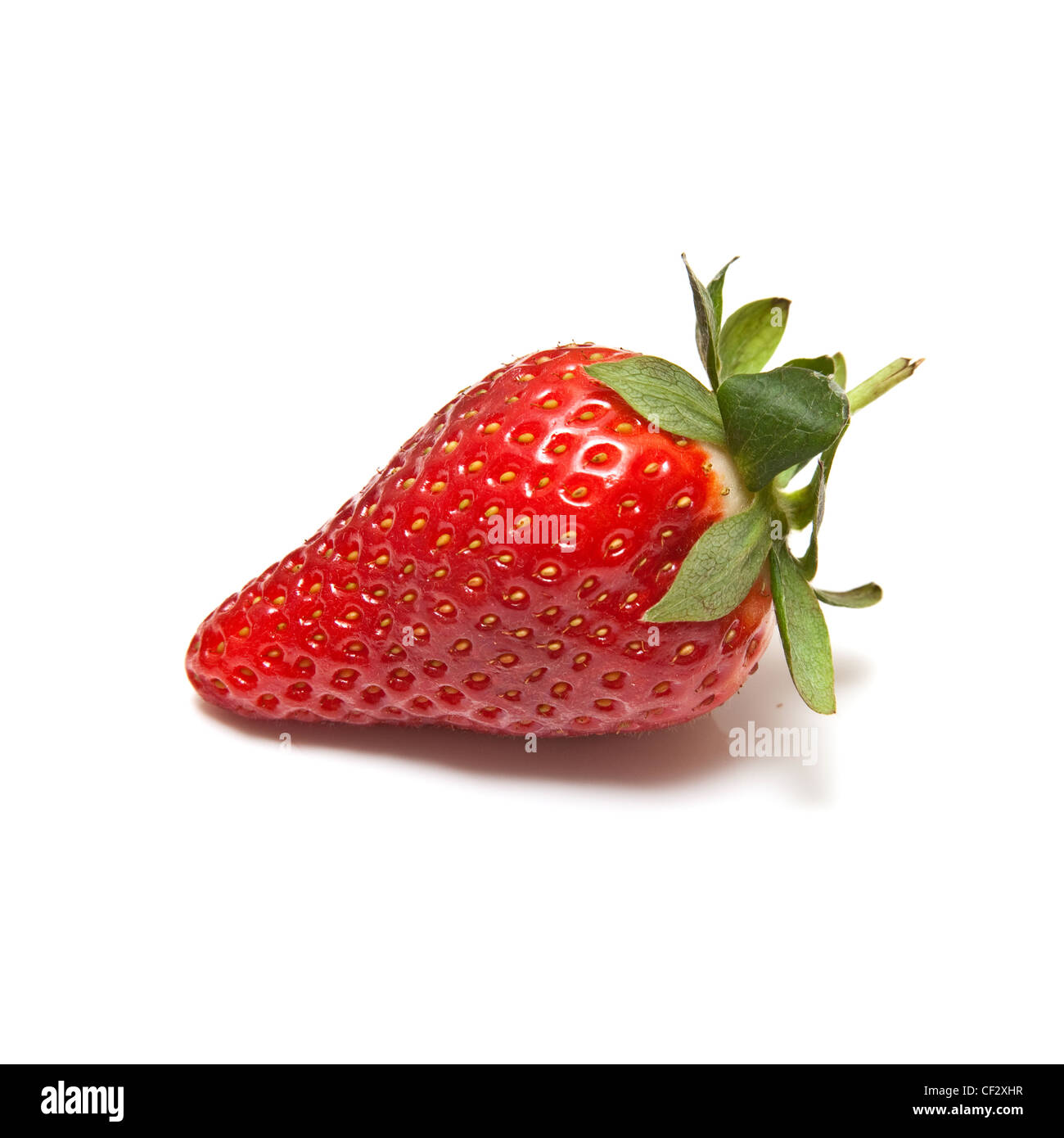 Strawberry isolated on a white studio background Stock Photo - Alamy