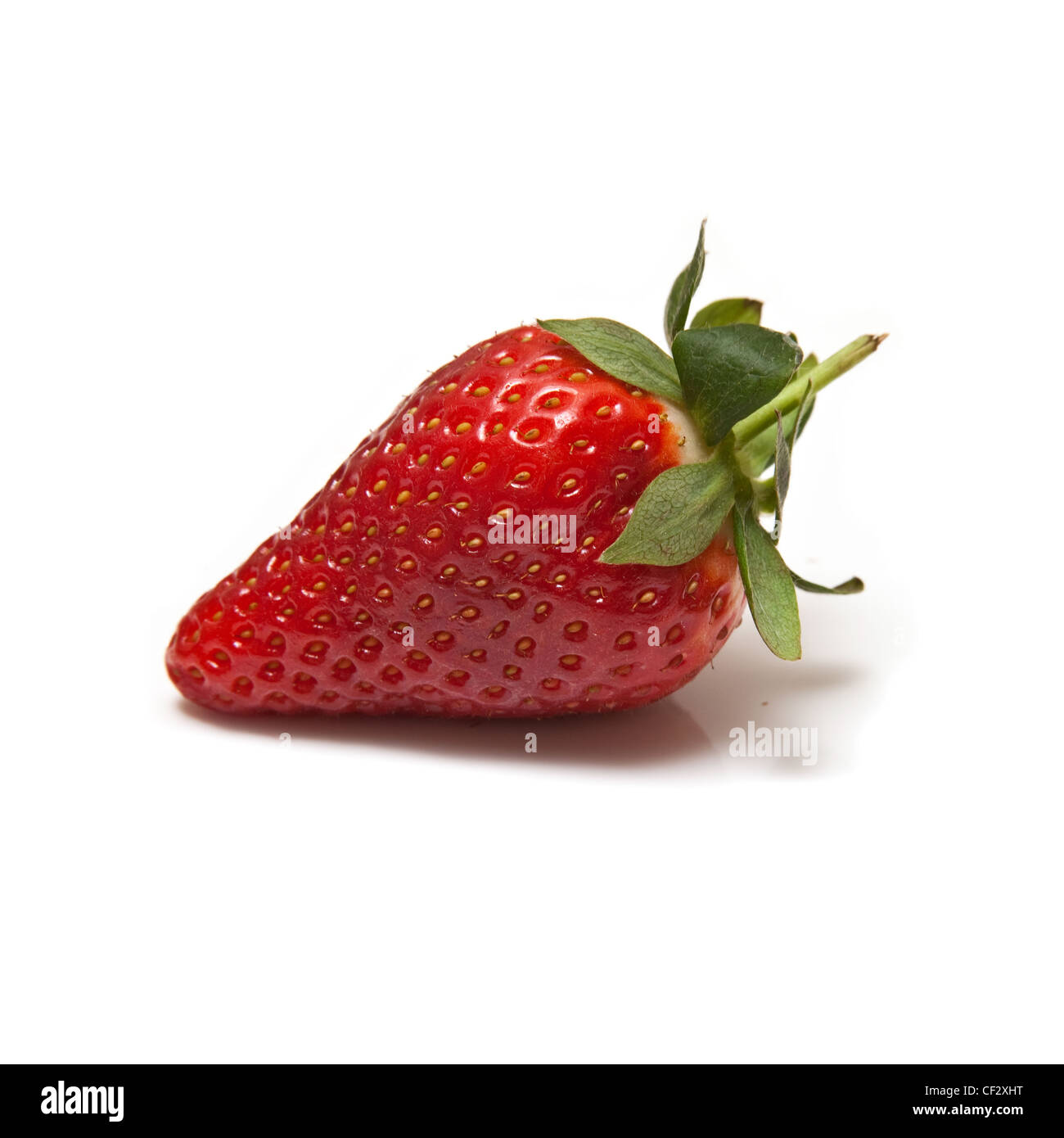 Strawberry isolated on a white studio background Stock Photo - Alamy