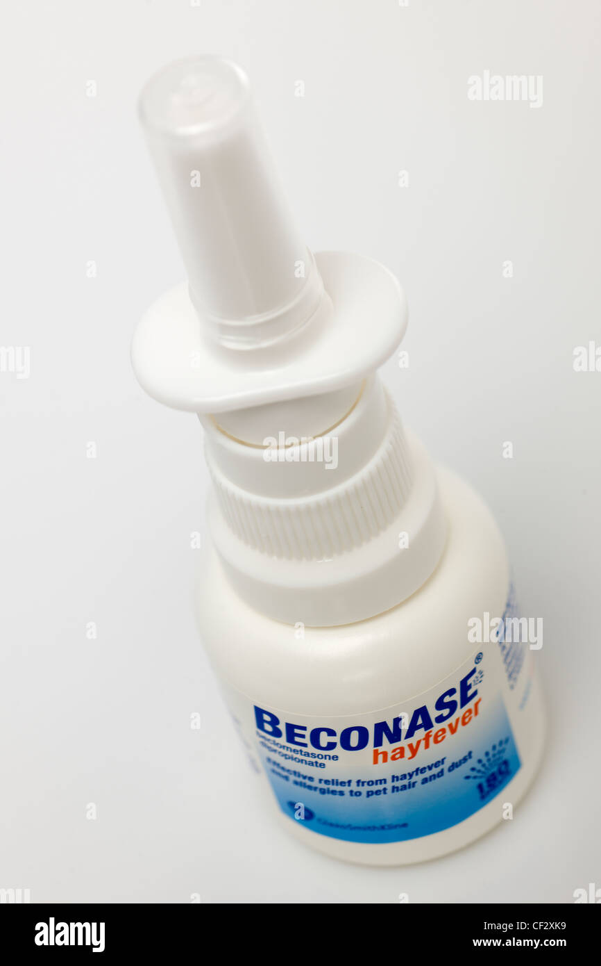 Beconase hayfever nasal spray Stock Photo Alamy