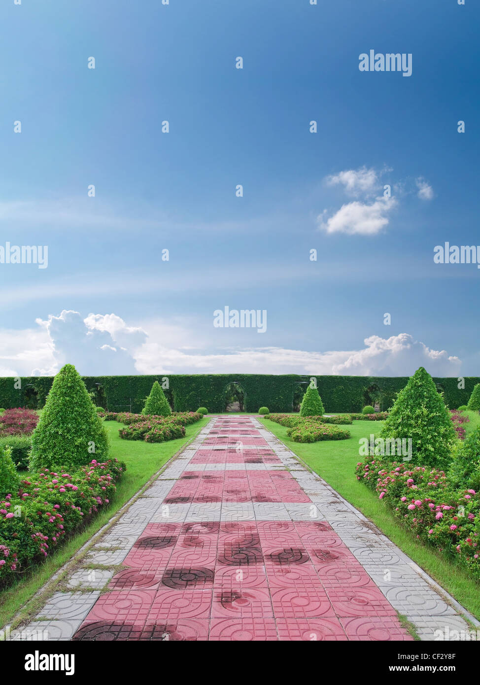 Park pathway among tree surgery in beautiful garden Stock Photo