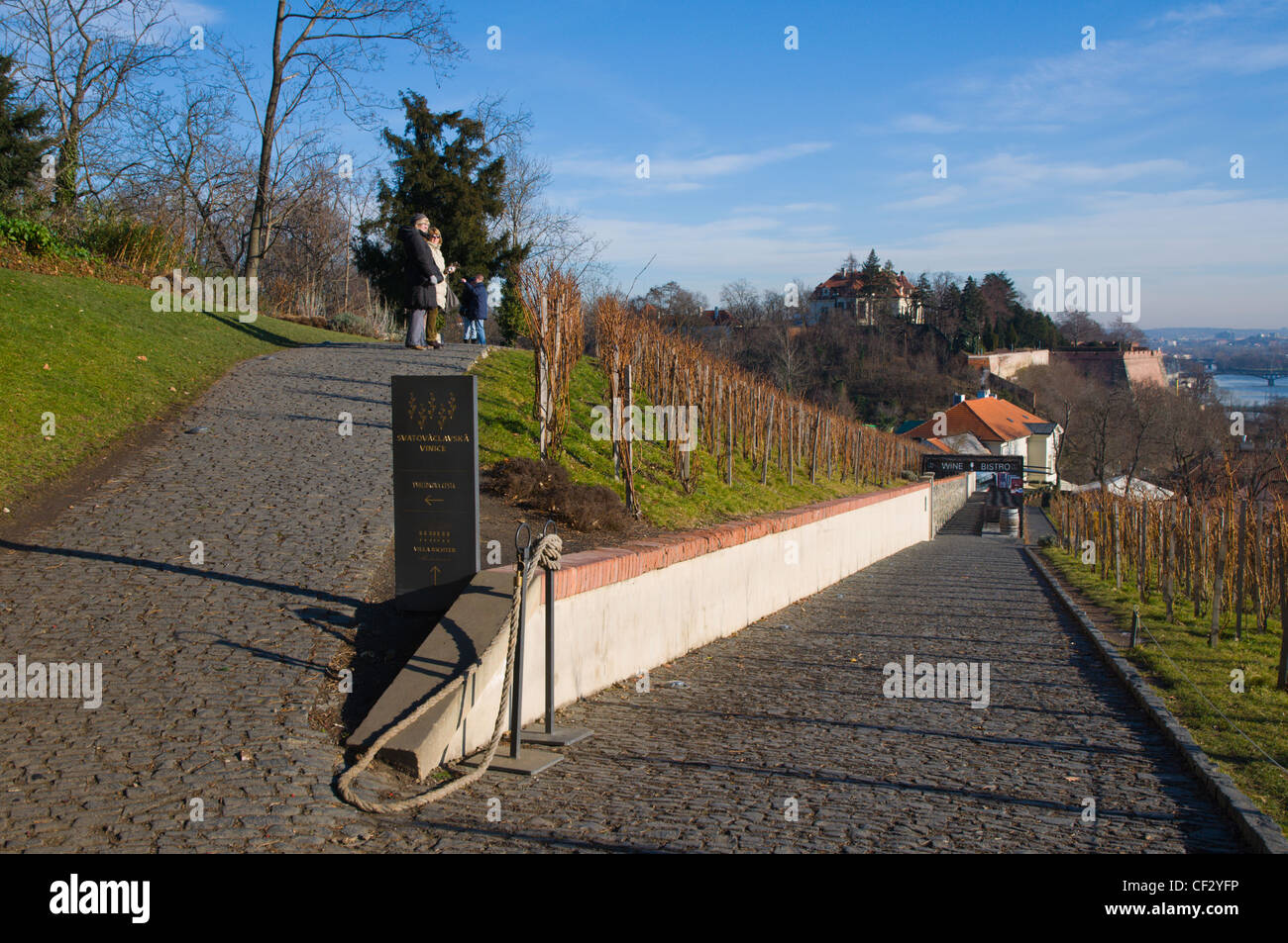 Svatovaclavska vinice the St Wenceslas vineyard Hradcany the castle