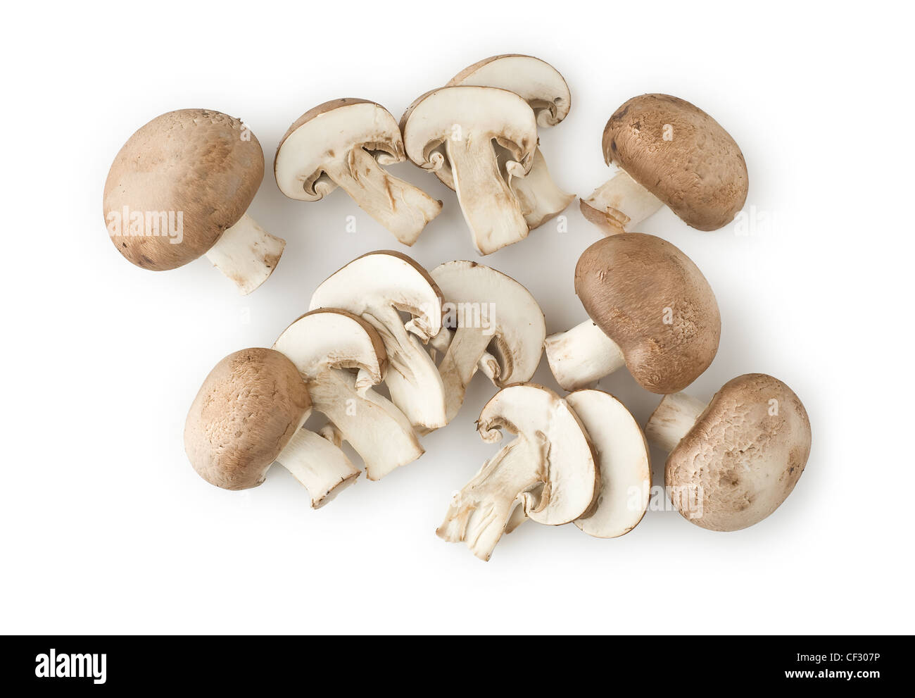 Mushrooms for a Healthy and Nutritious Cuisine Stock Photo