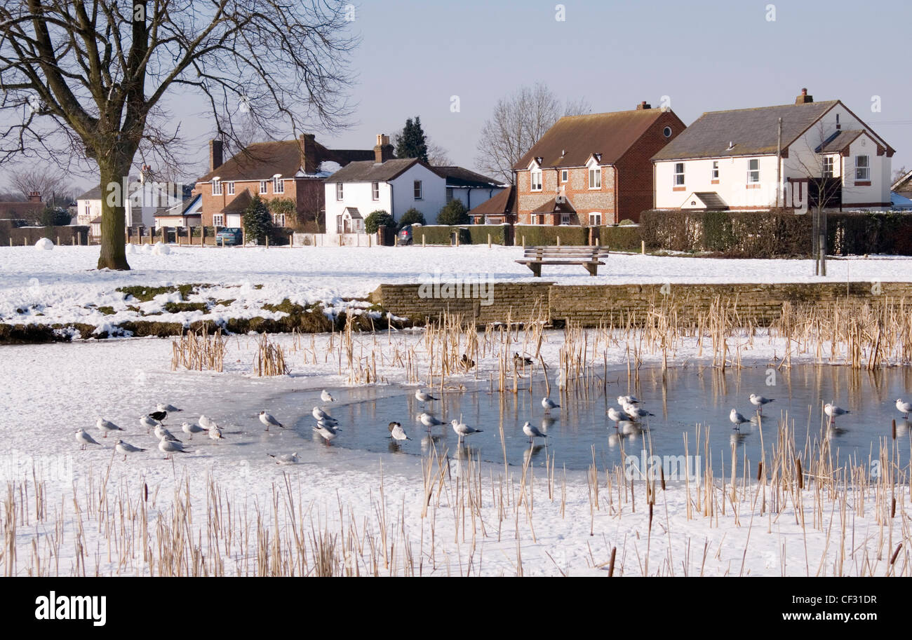 Tylers Green - Bucks - snow covered view -  frozen village pond and common -seagulls - winter sunlight - blue sky Stock Photo