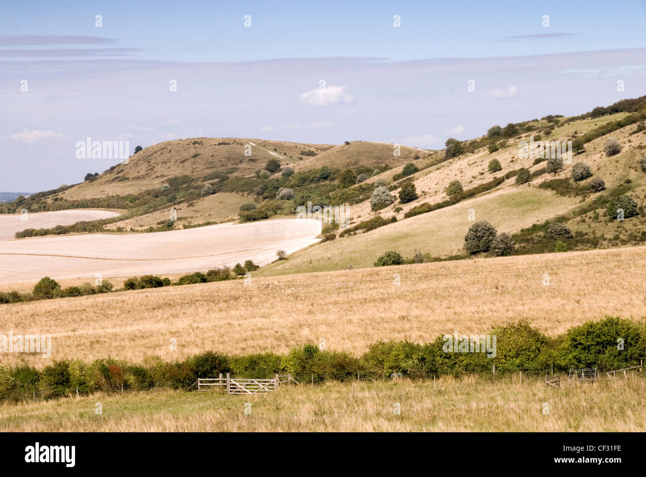 Chiltern Hills Ivinghoe Beacon C8 BC ancient hill top fort start
