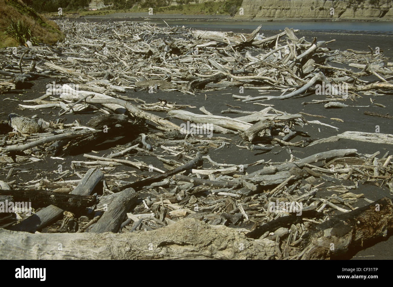 Flotsam And Jetsam High Resolution Stock Photography and Images Alamy