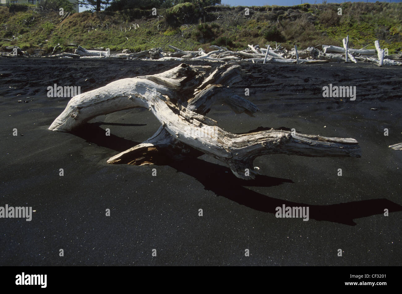 Flotsam and jetsam hires stock photography and images Alamy