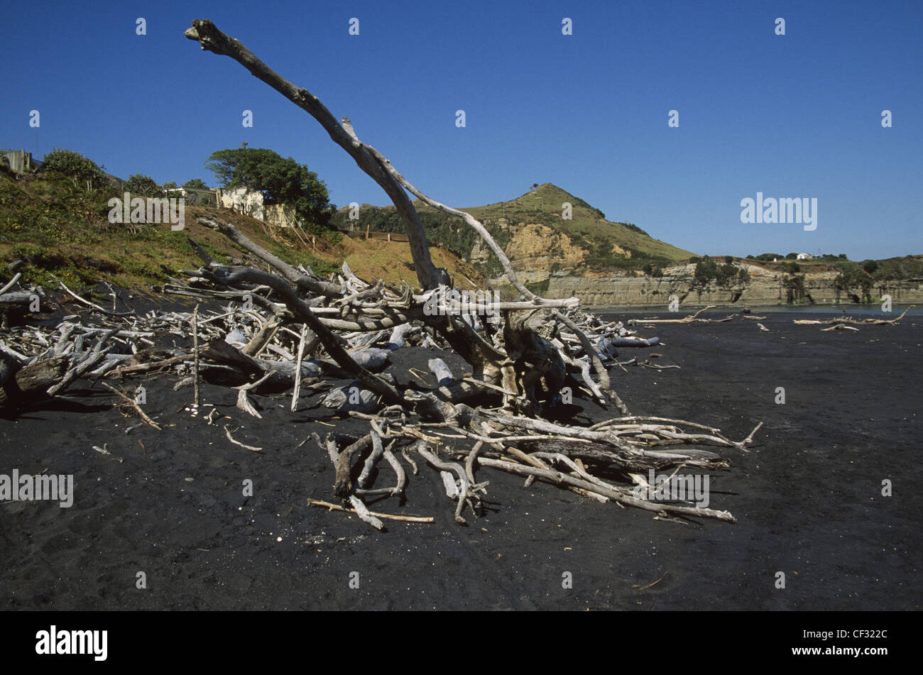 Flotsam and jetsam hires stock photography and images Alamy