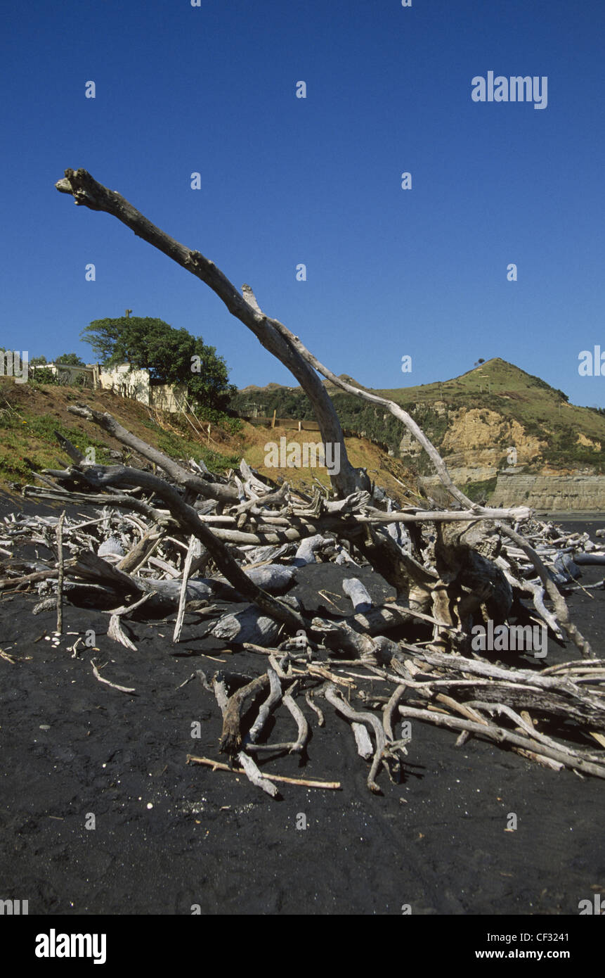 Flotsam and jetsam hires stock photography and images Alamy