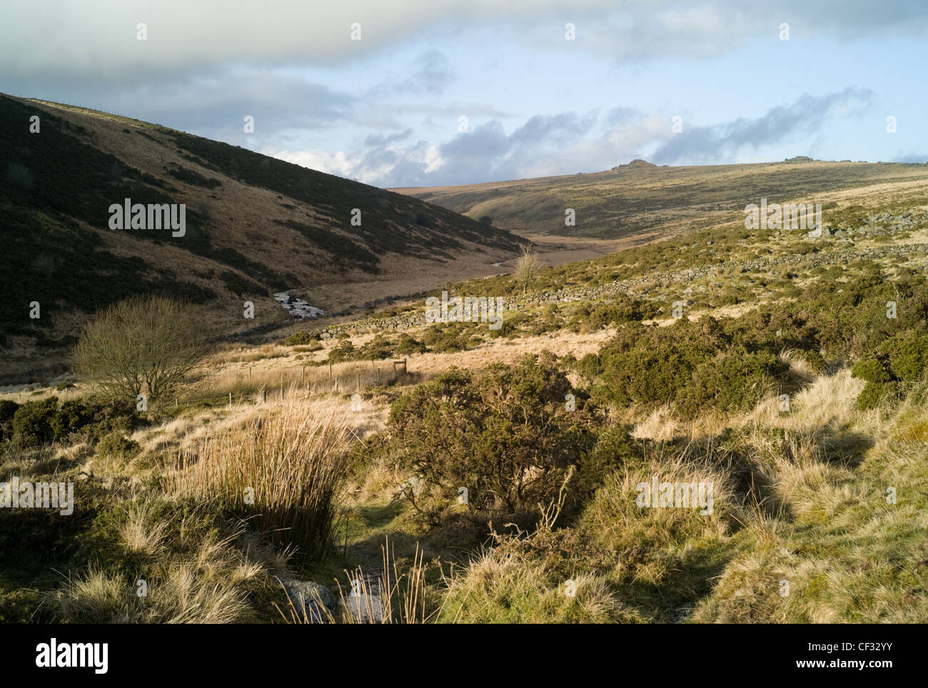 Dartmoor National Park Stock Photo