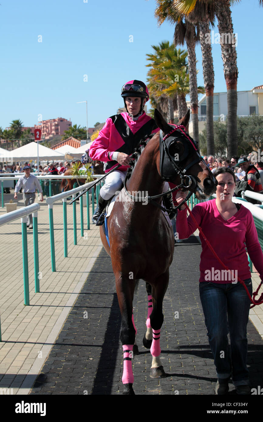 Race horse being led hires stock photography and images Alamy