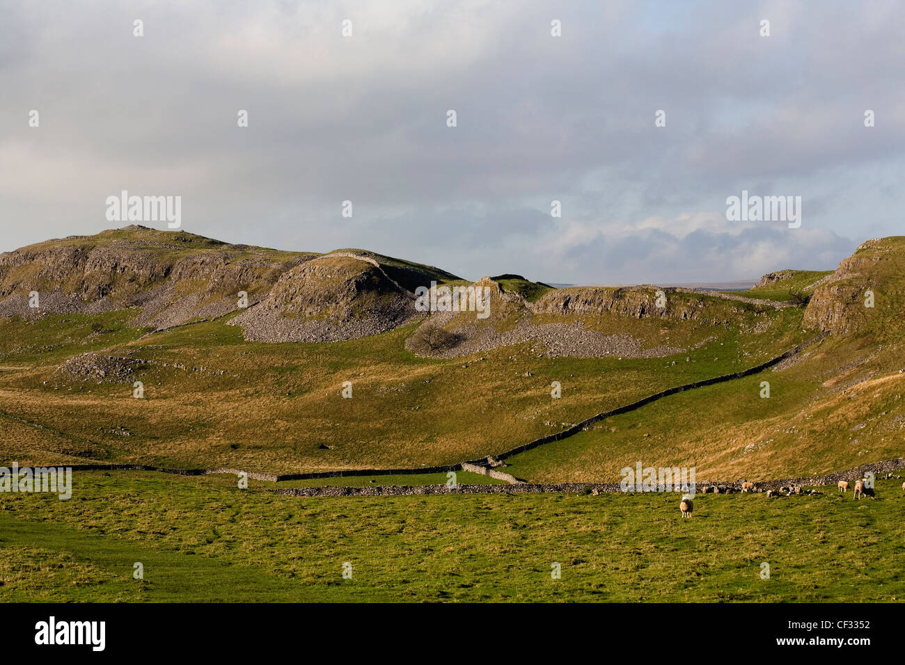 Smearsett Scar and Pot Scar Feizor Austwick Yorkshire Dales England Stock Photo