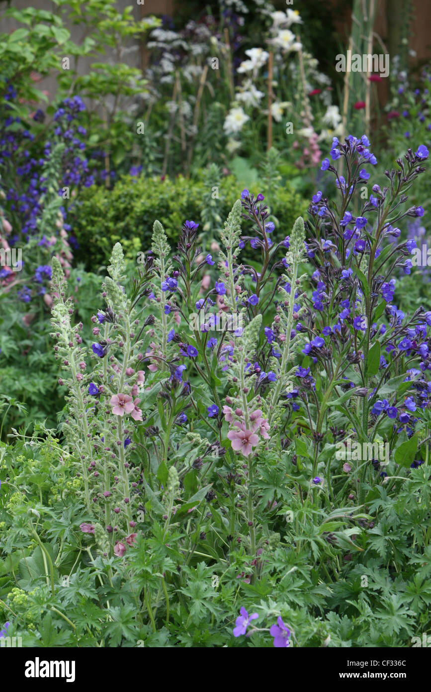 Chelsea Flower Show The QVC Garden at the Royal Horticultural Society