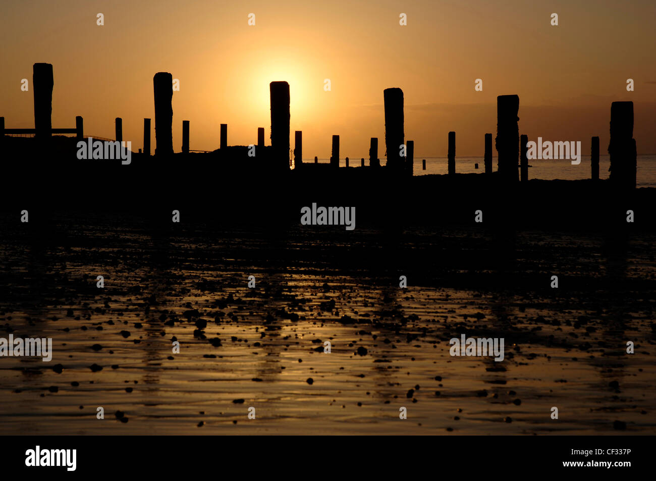 Silhouettes of groynes on the beach at Holland Haven Country Park near Clacton-on-Sea. Stock Photo