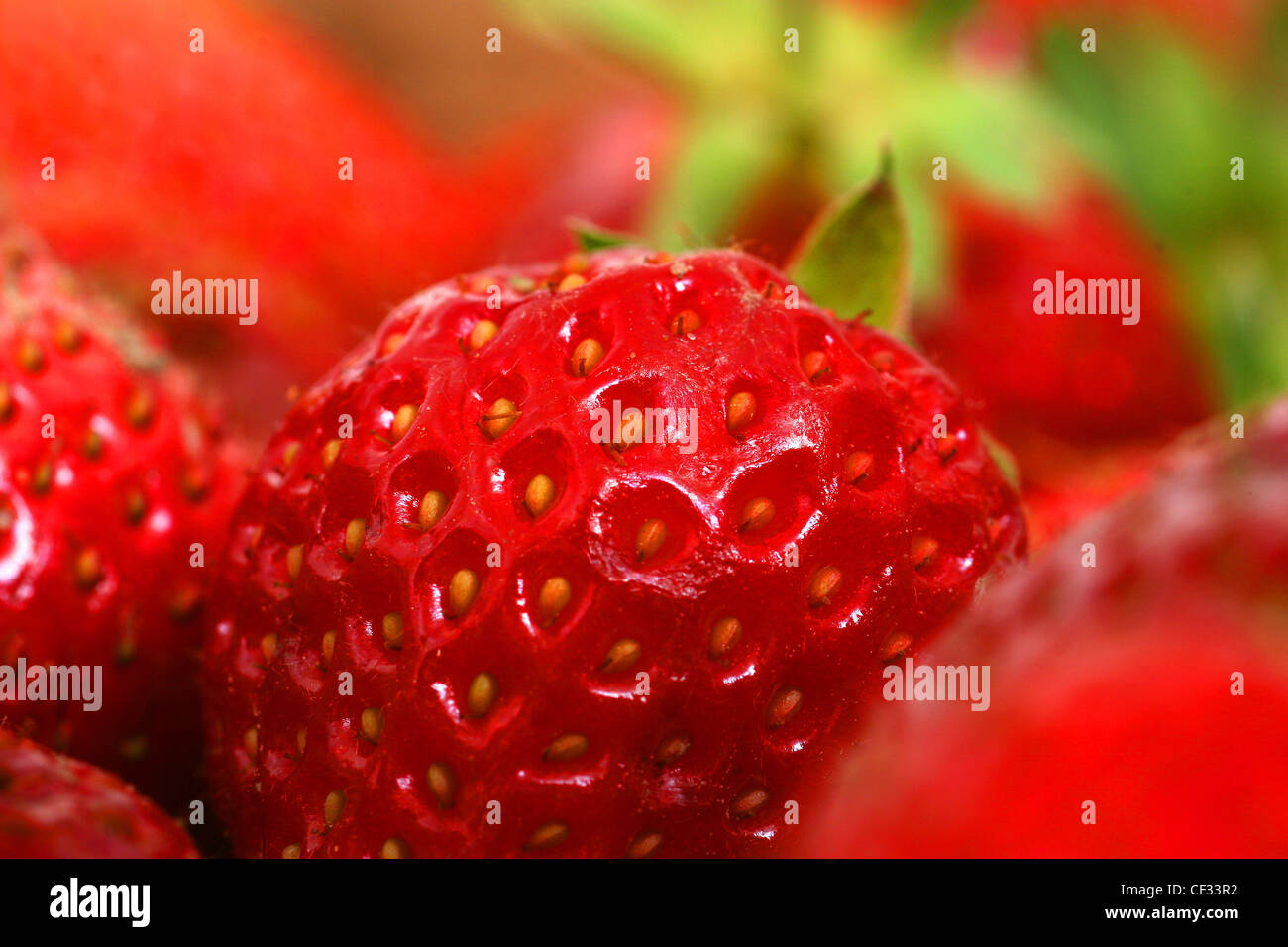 A close up of strawberries Stock Photo - Alamy