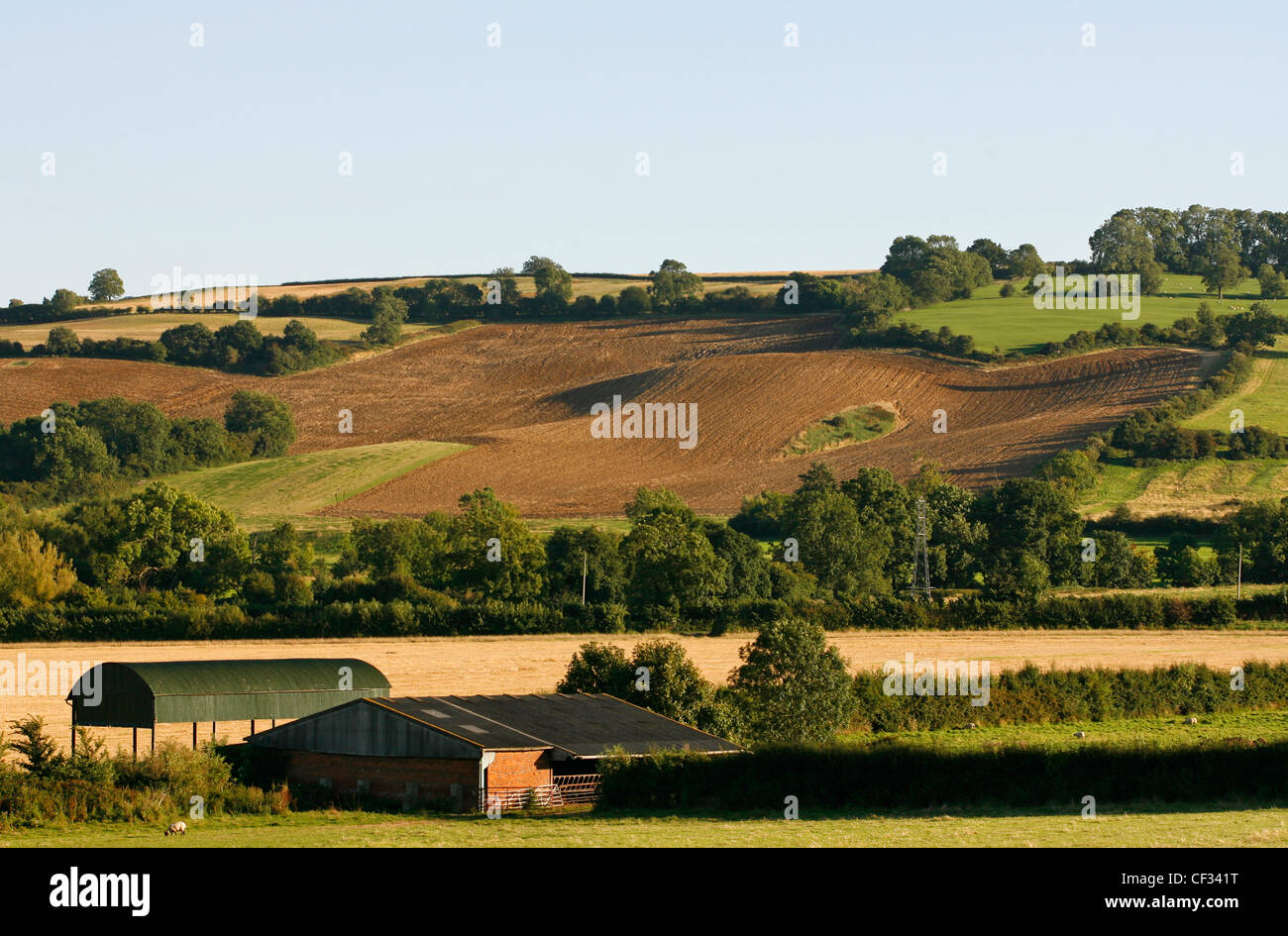 Ilmington Down. The top of the down at 856 feet above sea level is the highest point in Warwickshire. Stock Photo
