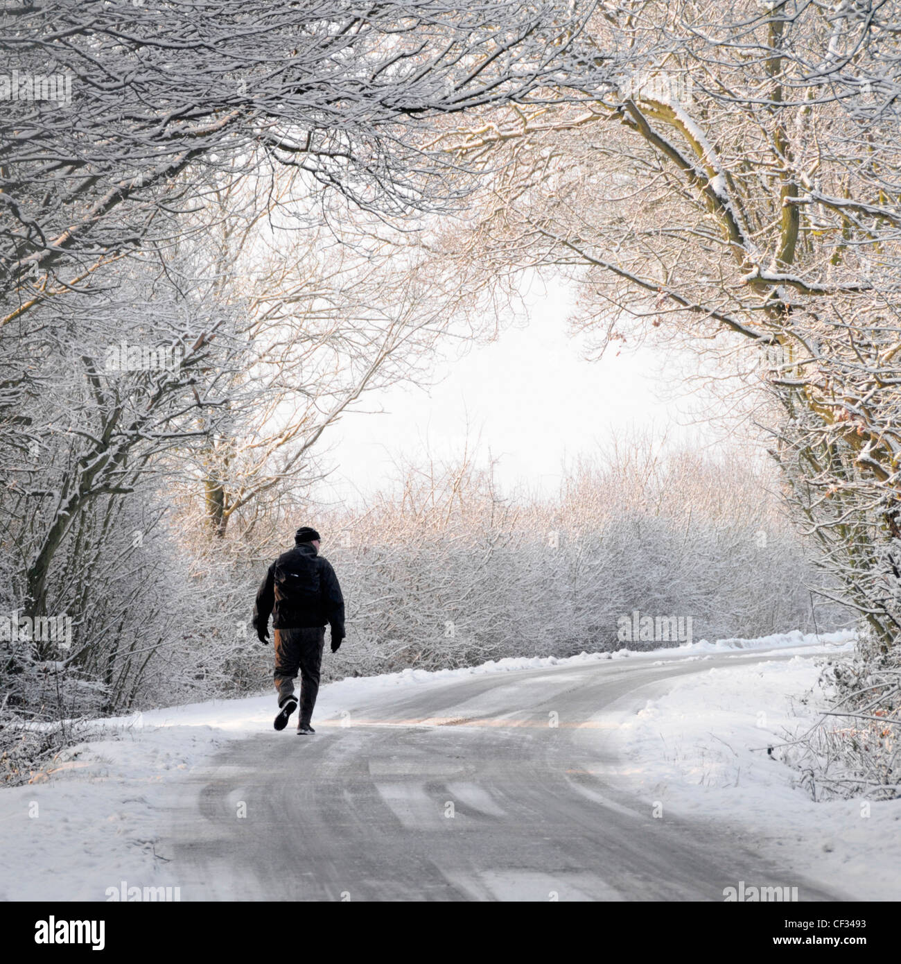 Frost & snowy weather silhouette of man walking alone along snow covered country lane under arch of white winter tree branches bend in road England UK Stock Photo