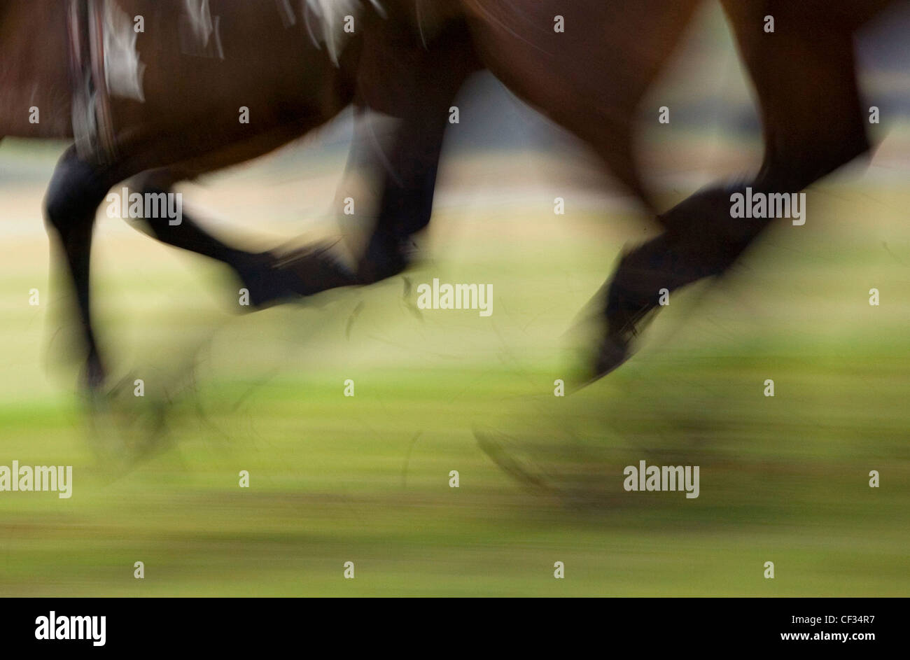 Blurred motion of race horses at full gallop. Stock Photo