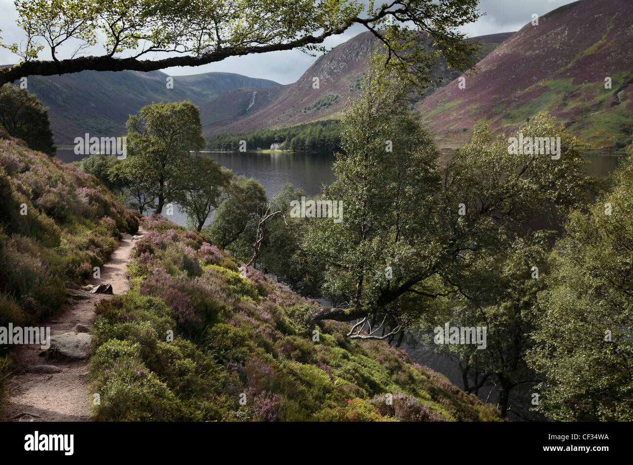 A pathway running along the heather clad hillside by Loch Muick in the Cairngorms National Park. Stock Photo