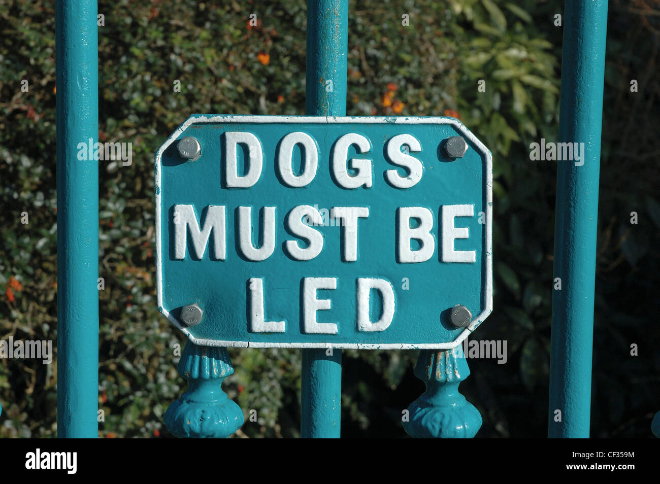 Dogs on a lead sign Stock Photo Alamy