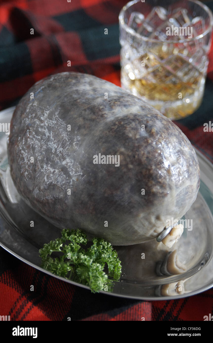 Traditional Burns night meal of Haggis potato and turnips Neeps and