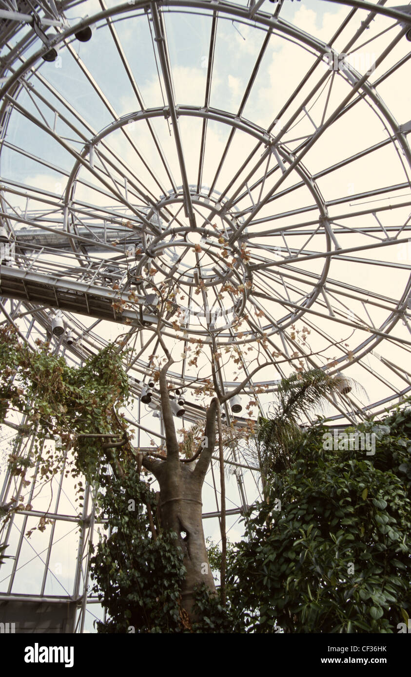 USA Houston Texas Cockrell Butterfly Center Houston Museum of Natural