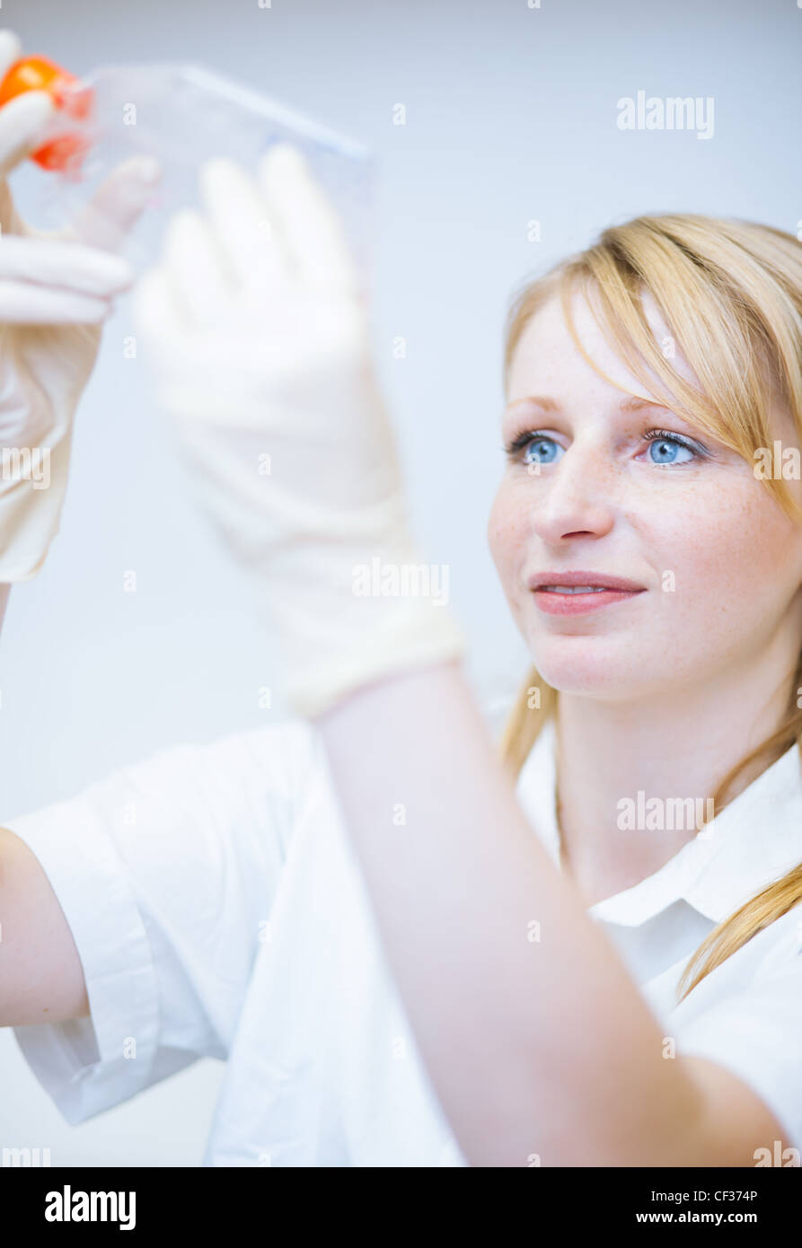 Female researcher doing research in a lab Stock Photo - Alamy