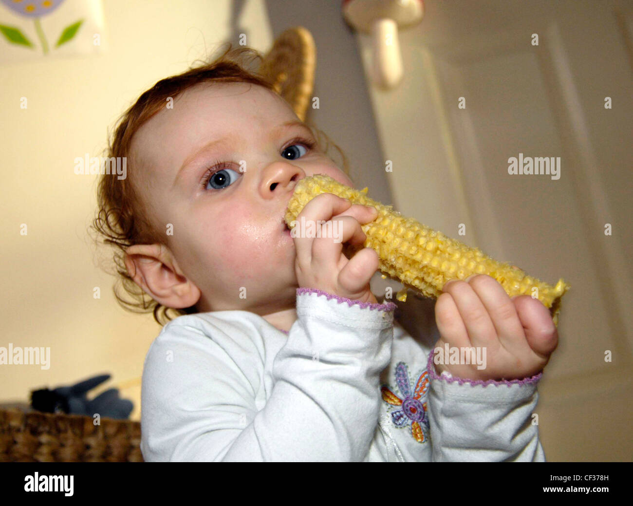 Toddler eating corn on the cob Stock Photo Alamy