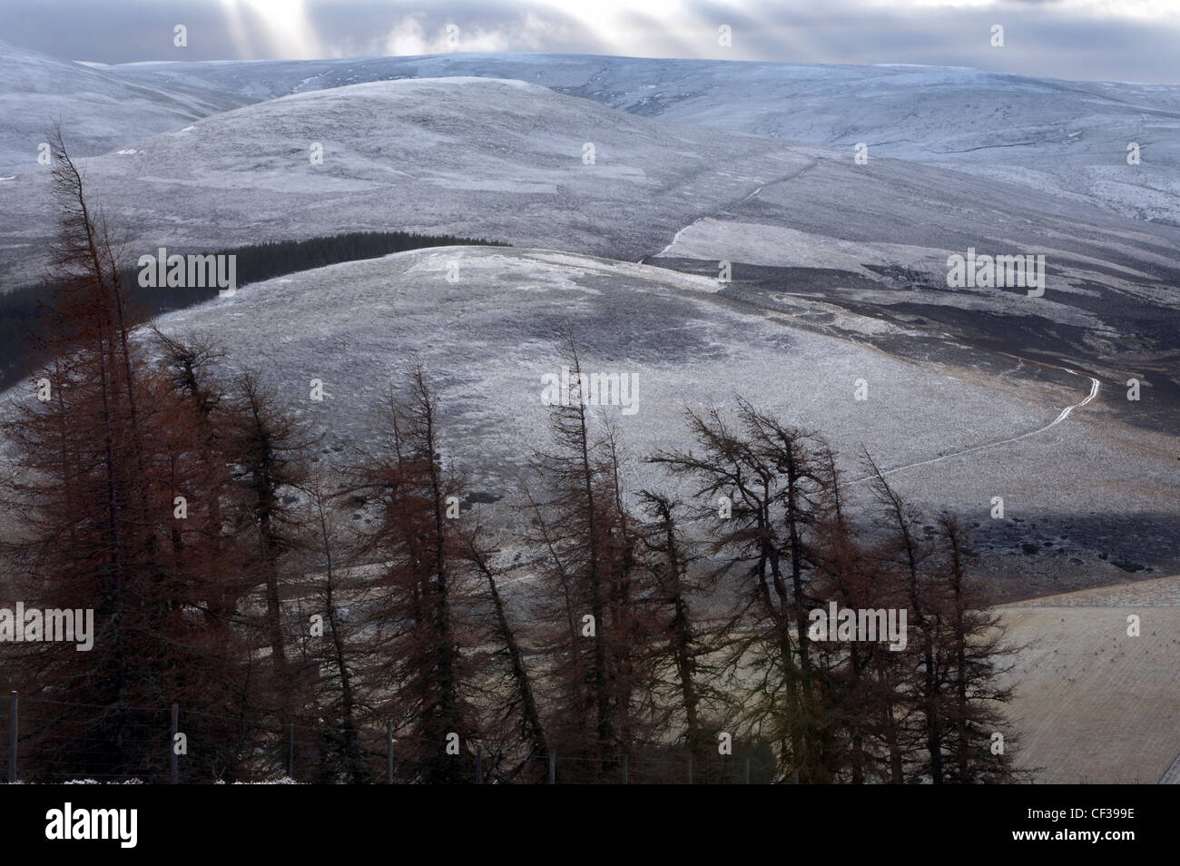 Winter frost covering the mountains in the Cairngorms. Stock Photo