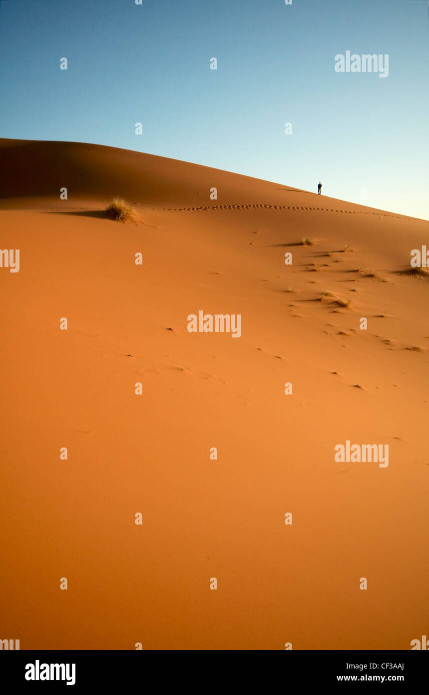 Man standing at Sahara desert sand dune Stock Photo - Alamy