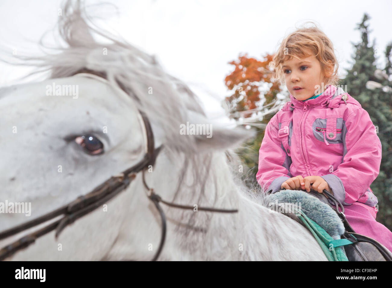 little girl riding horse and looking aside Stock Photo