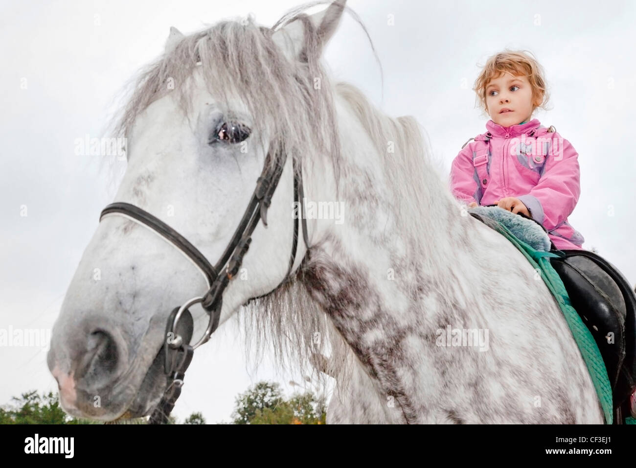 girl riding horse Stock Photo