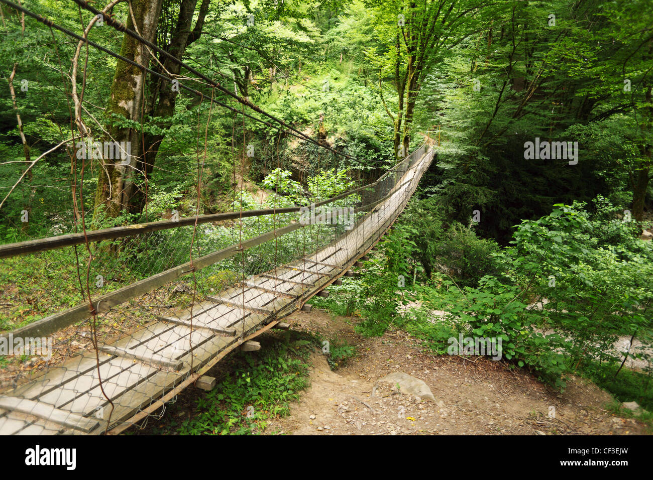 Wooden suspension bridge in wood Stock Photo Alamy