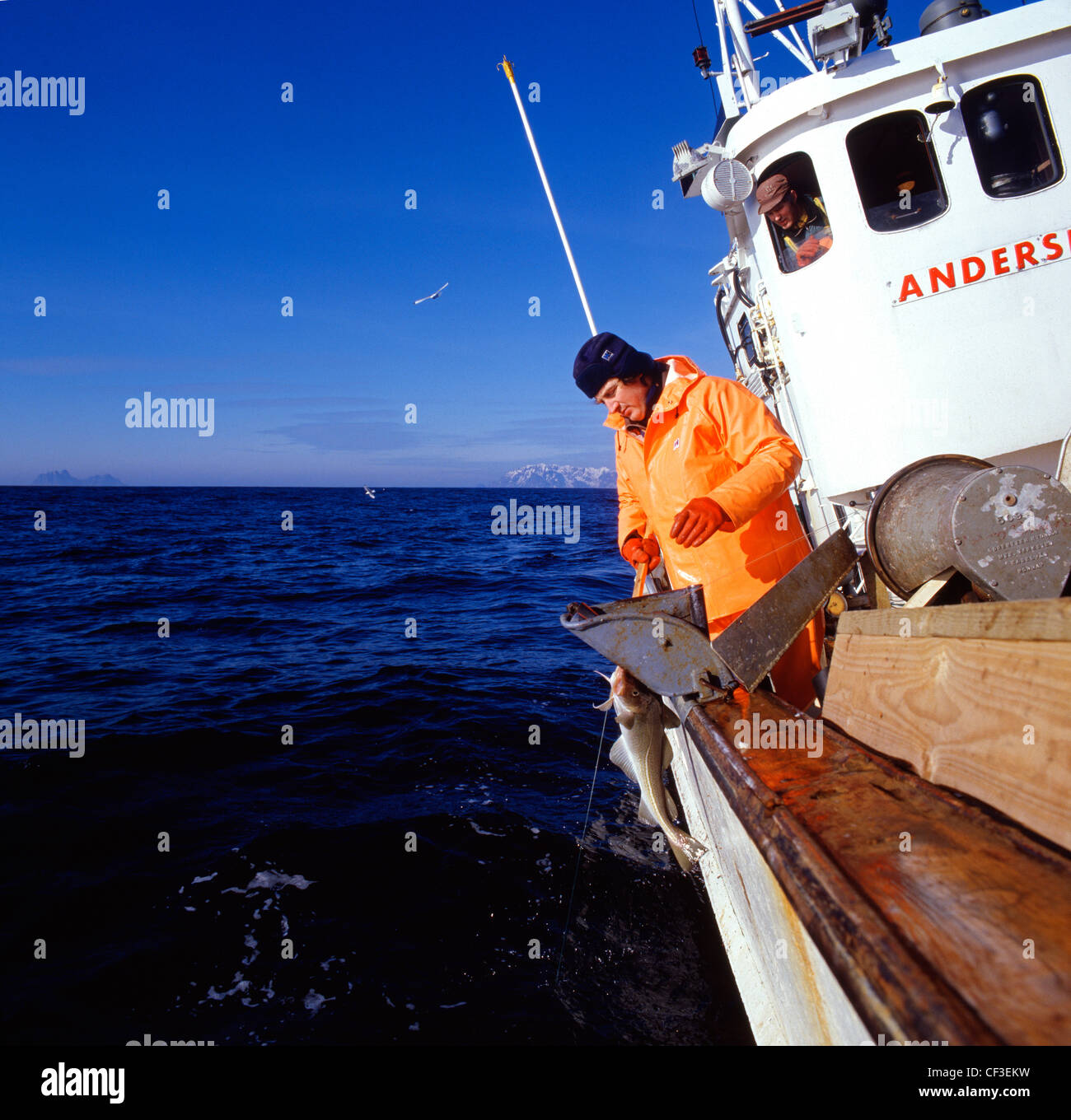 Harvesting black cod hi-res stock photography and images - Alamy