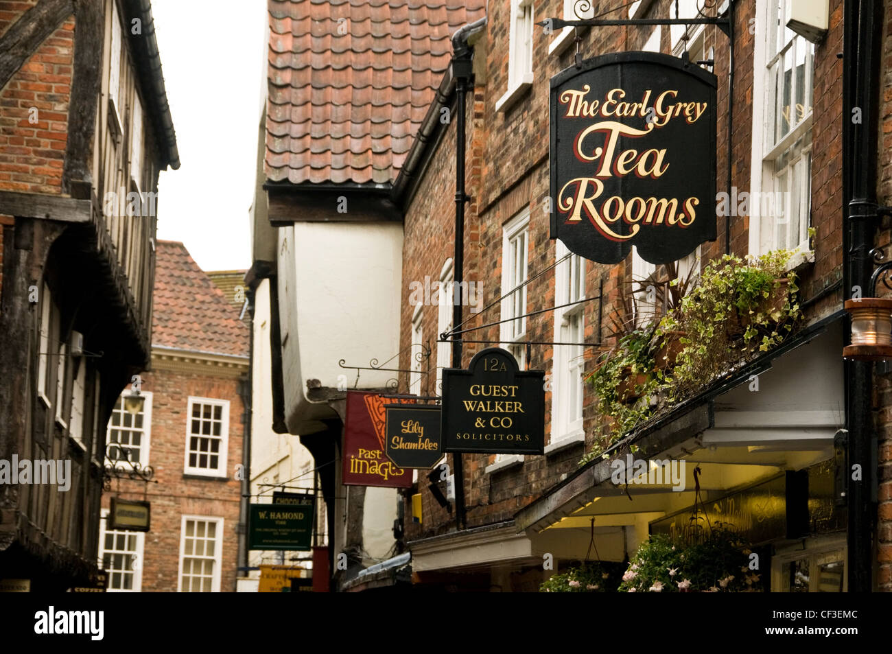 A row of shop signs hanging along the Old Shambles Street in York. Stock Photo