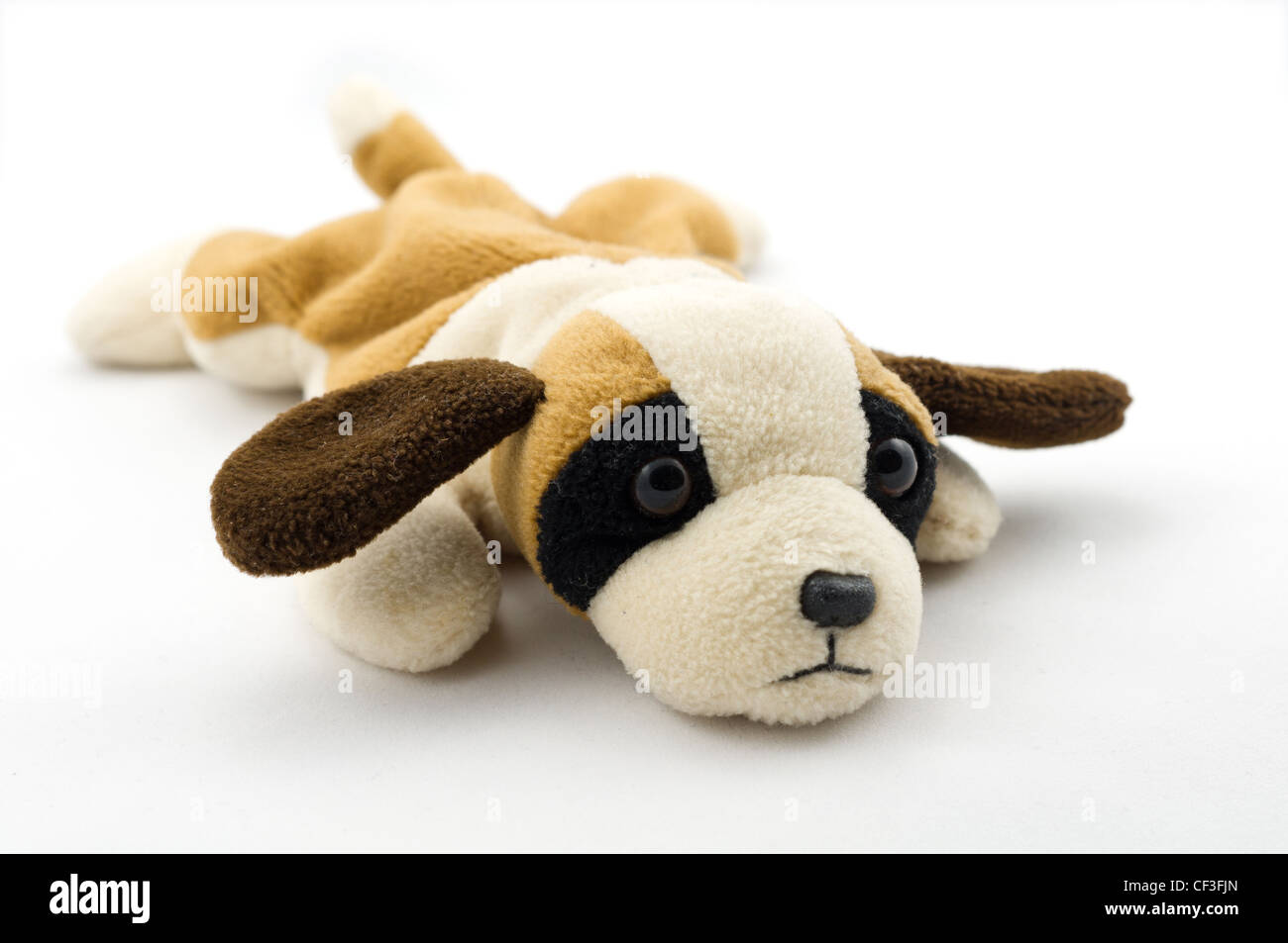 Sad cuddle dog isolated on white background Stock Photo