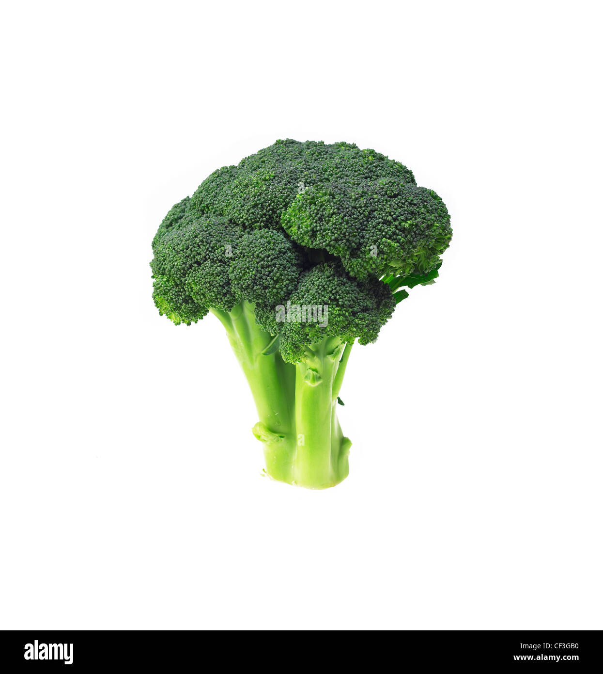 fresh green vivid broccoli isolated on white Stock Photo