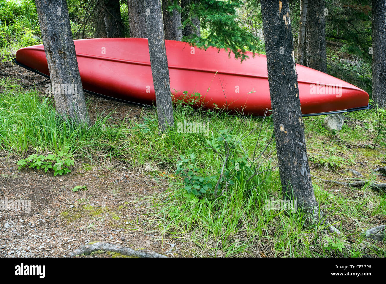 Canoe on land Stock Photo Alamy