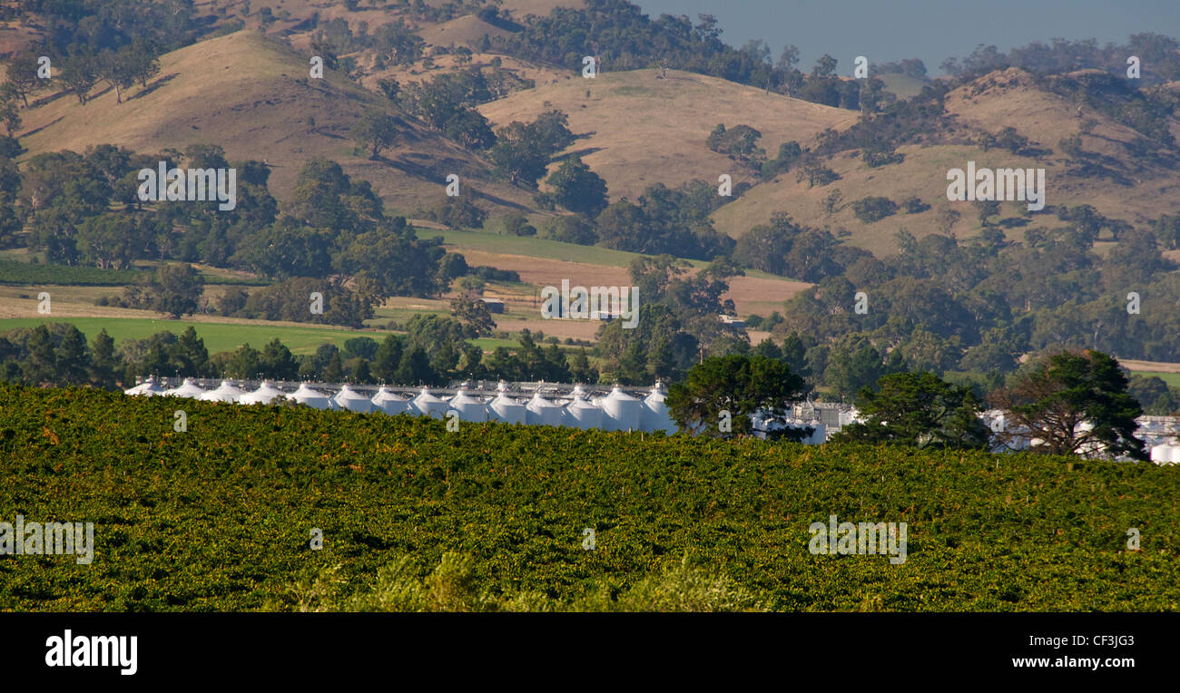 Jacobs Creek wine tanks in the Barossa Valley South Australia Stock Photo