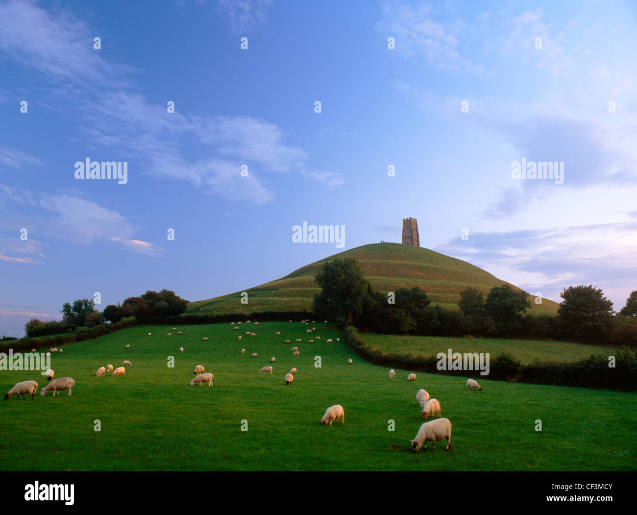 Looking up at Glastonbury Tor and St Michael's Tower from the NE, showing the terracing which some see as an ascending spiral pa Stock Photo