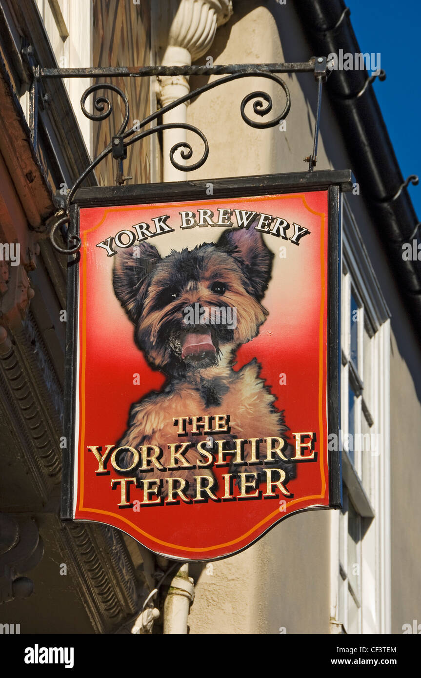 The Yorkshire Terrier pub sign, Stonegate. Stock Photo