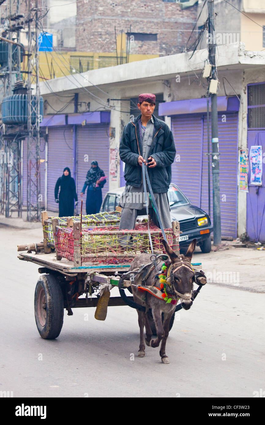 Donkey cart, Islamabad, Pakistan Stock Photo